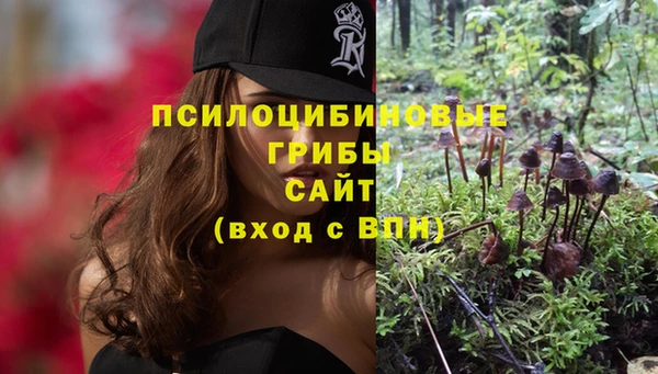 Альфа ПВП Арсеньев