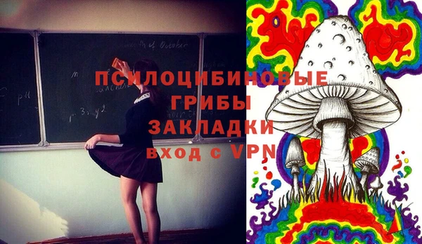 гашик Алексеевка