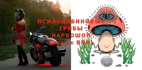 Альфа ПВП Арсеньев