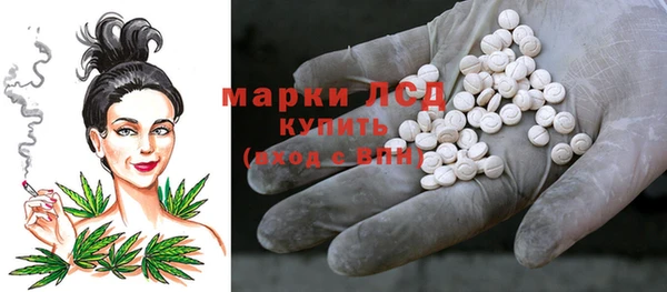 apvp Алзамай