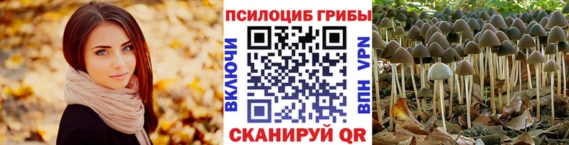 Галлюциногенные грибы Cubensis  Петропавловск-Камчатский 